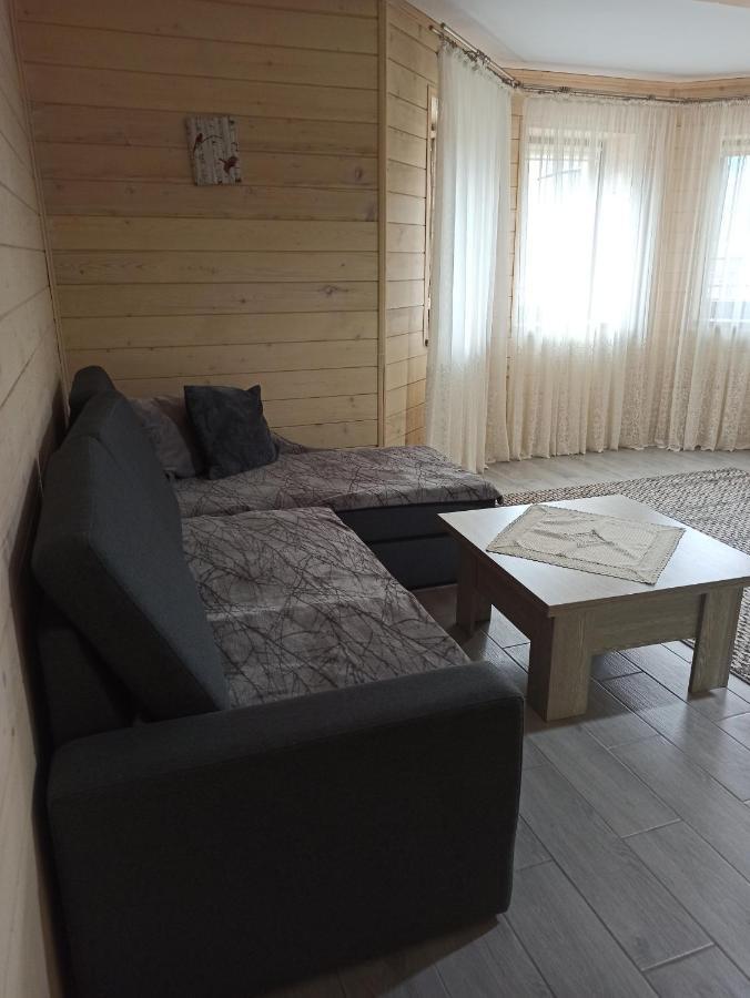 Brand New 2020 Specious Apartment Druzi 2 Palyanytsya Εξωτερικό φωτογραφία