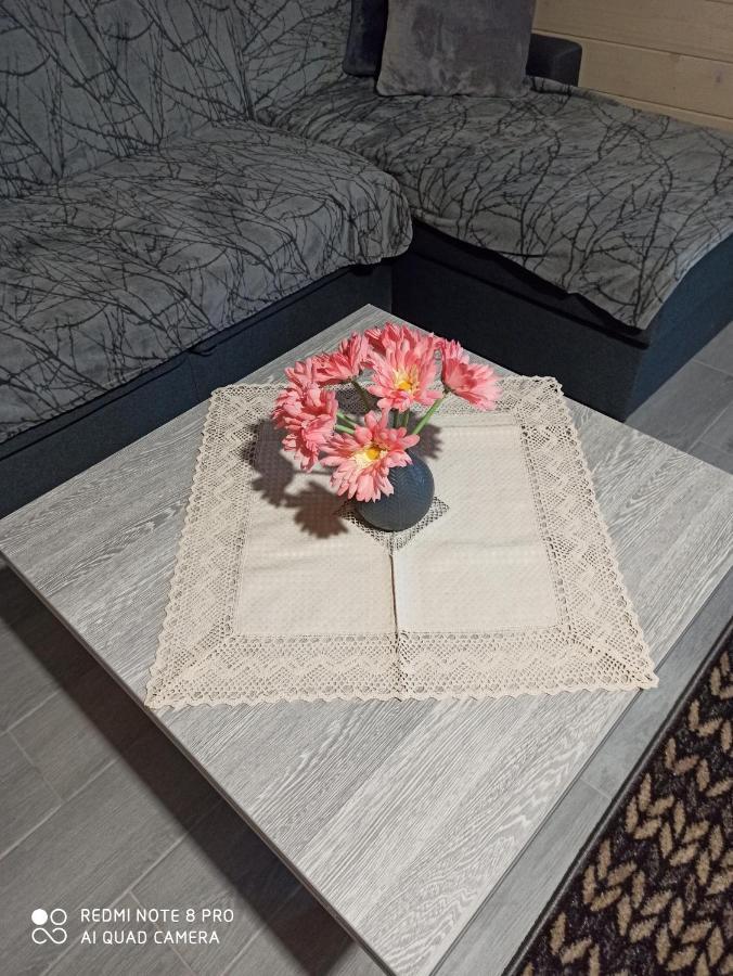 Brand New 2020 Specious Apartment Druzi 2 Palyanytsya Εξωτερικό φωτογραφία
